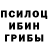 Псилоцибиновые грибы прущие грибы Ksuwa Ctebel